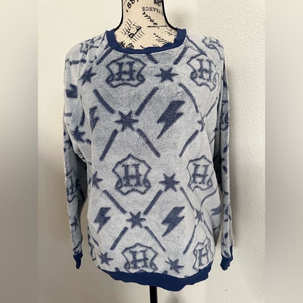Harry Potter M Blue Patterned Sweater